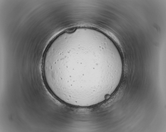 X0000112780847200909101611