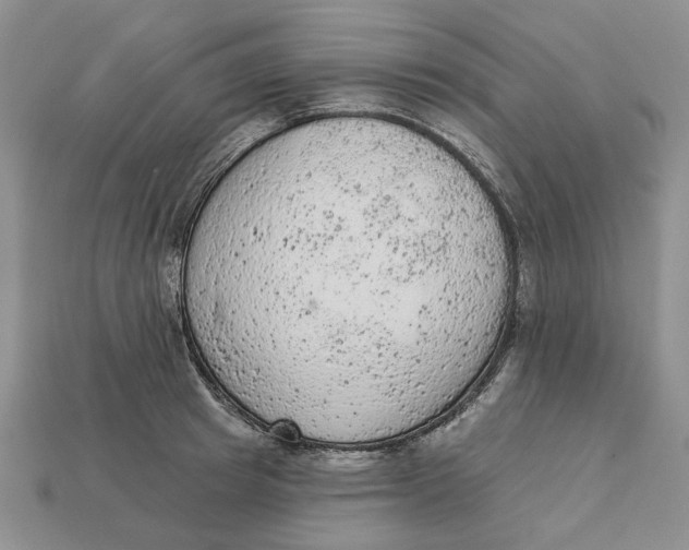 X0000112780849200909101611