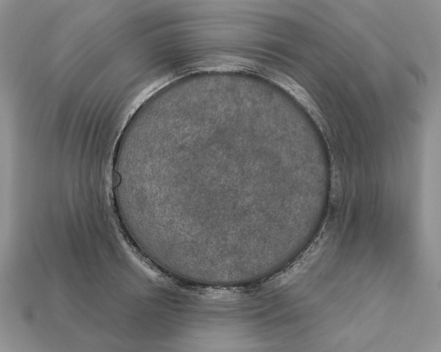 X0000112780850200909101611