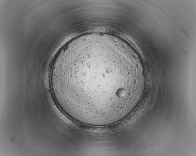 X0000112780851200909101611