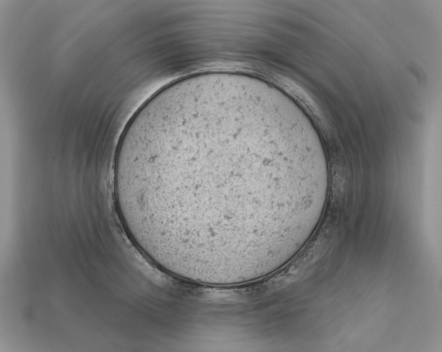 X0000112780852200909101611