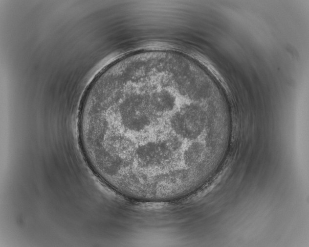 X0000112780853200909101611