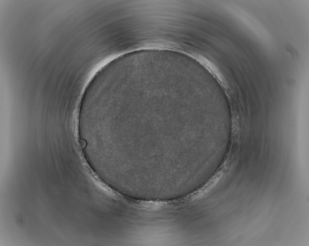 X0000112780854200909101611