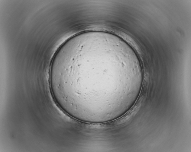 X0000112780855200909101611