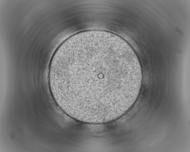 X0000112780856200909101611