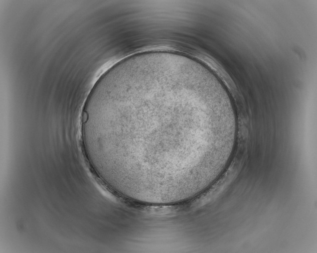 X0000112780858200909101611