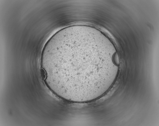 X0000112780860200909101611