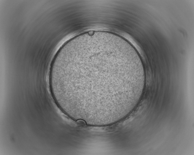 X0000112780861200909101611