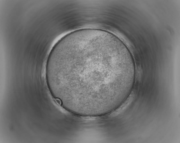 X0000112780862200909101611