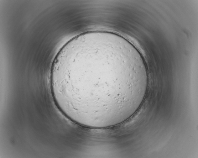 X0000112780863200909101611