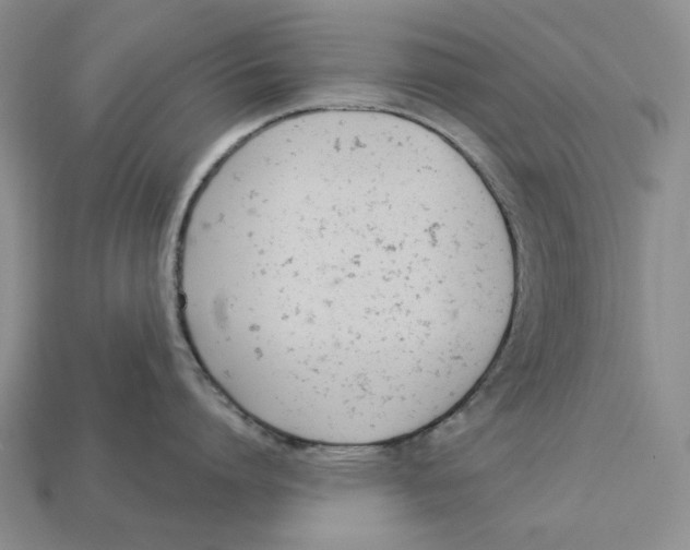 X0000112780864200909101611