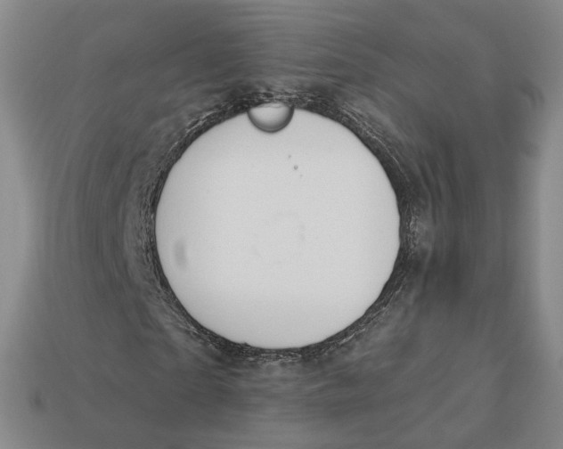 X0000112780865200909101610