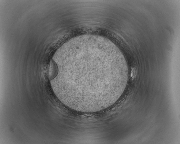 X0000112780867200909101610