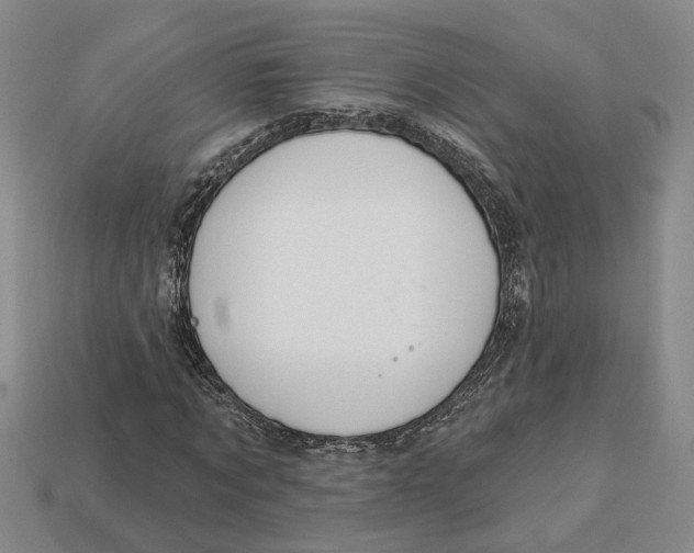 X0000112780869200909101610