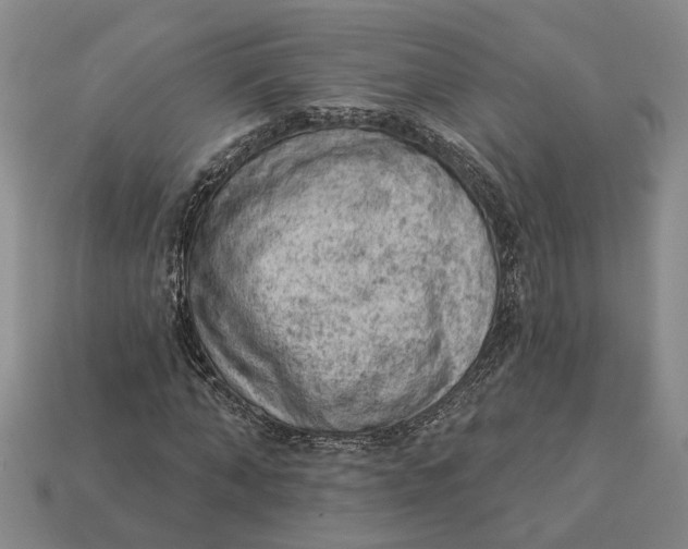 X0000112780870200909101610