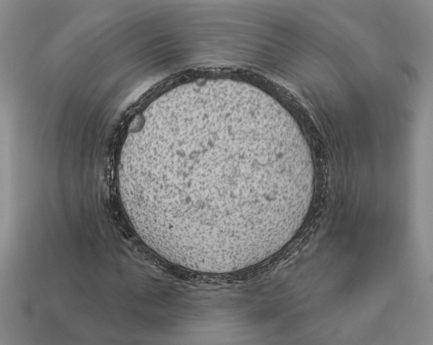 X0000112780871200909101610