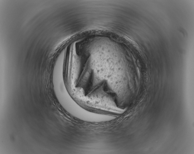 X0000112780872200909101610