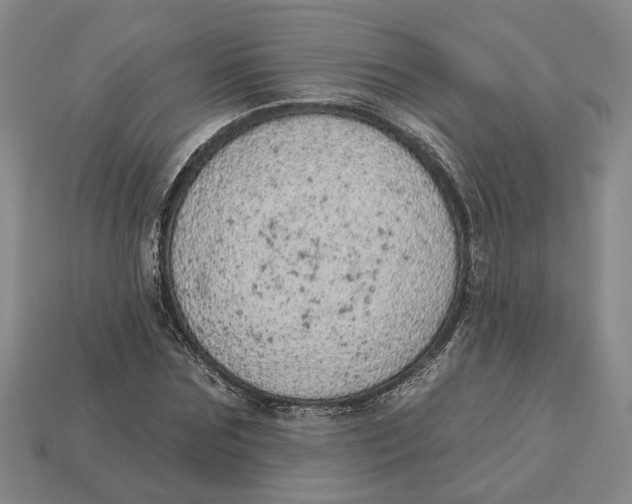 X0000112780875200909101610