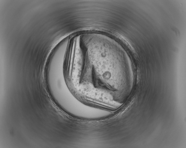 X0000112780876200909101610