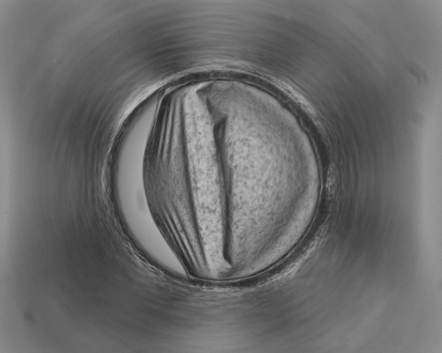 X0000112780877200909101610