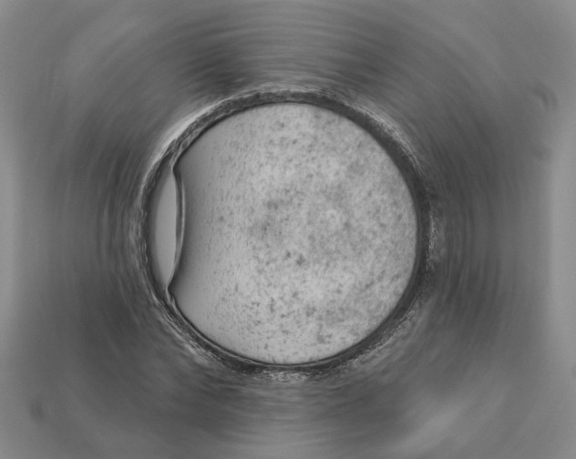 X0000112780878200909101610