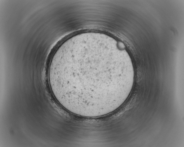 X0000112780880200909101610