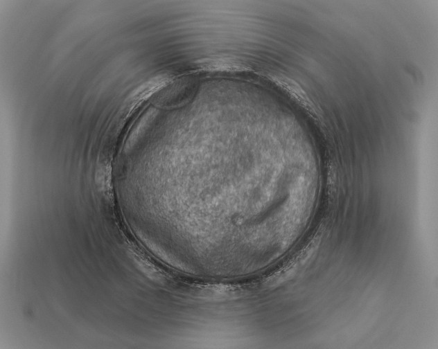 X0000112780881200909101610