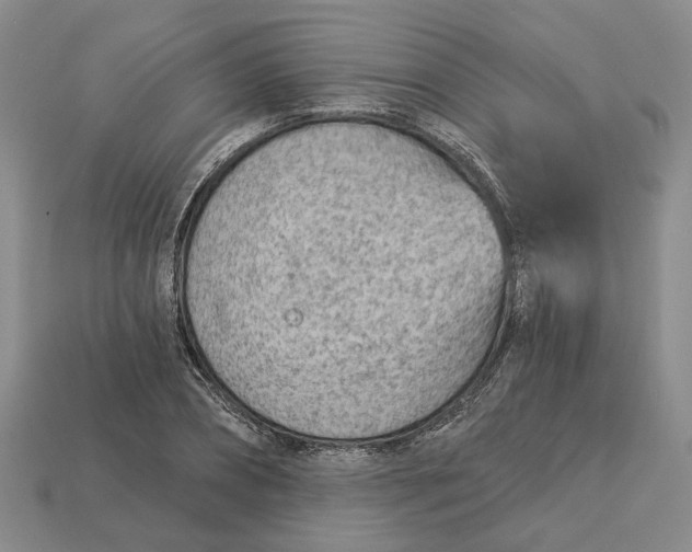 X0000112780882200909101610