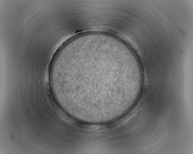 X0000112780883200909101610