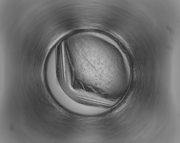 X0000112780885200909101610