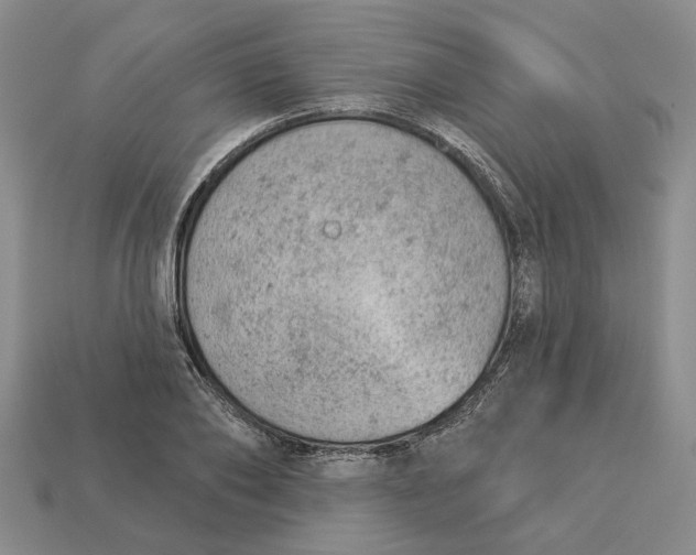 X0000112780886200909101610