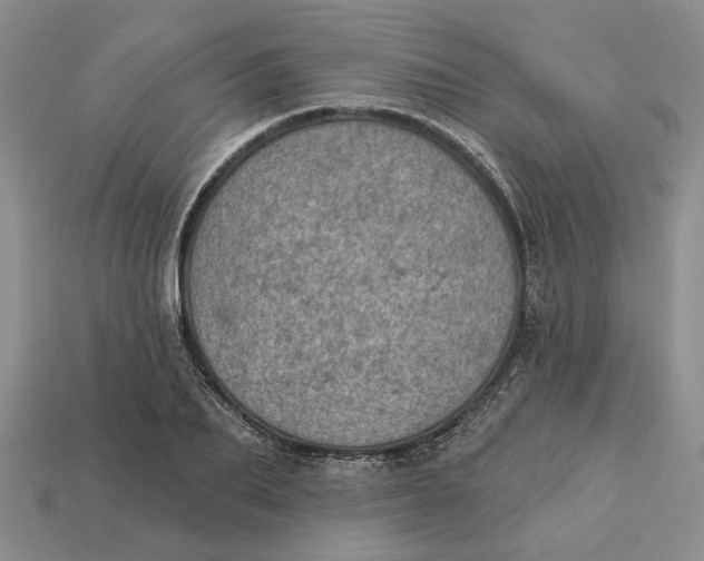 X0000112780887200909101610