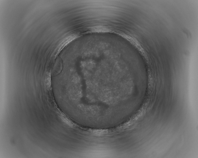 X0000112780889200909101610