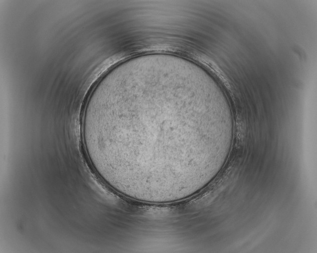 X0000112780890200909101610