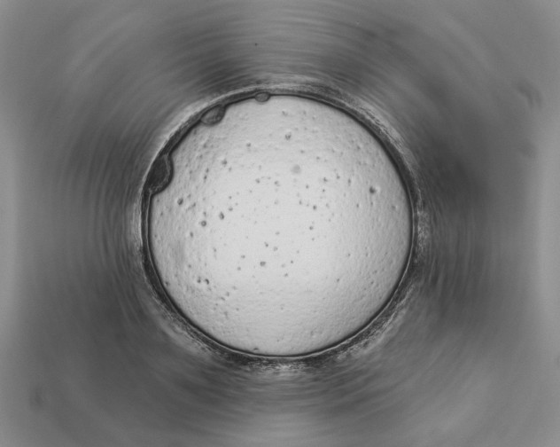 X0000112780891200909101610