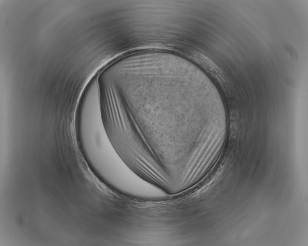 X0000112780892200909101610