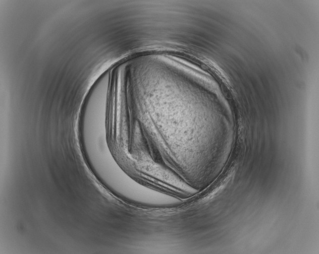 X0000112780893200909101610