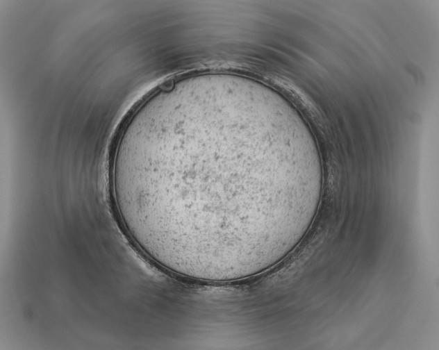 X0000112780894200909101610