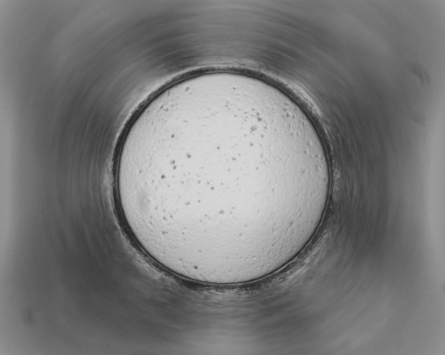 X0000112780895200909101610