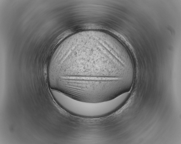 X0000112780897200909101610