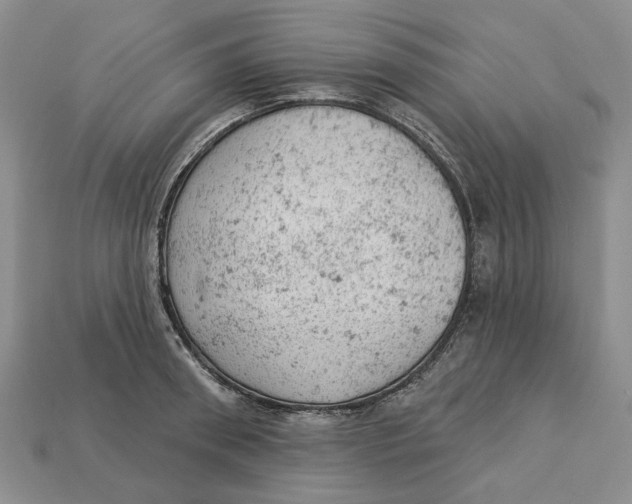 X0000112780898200909101610