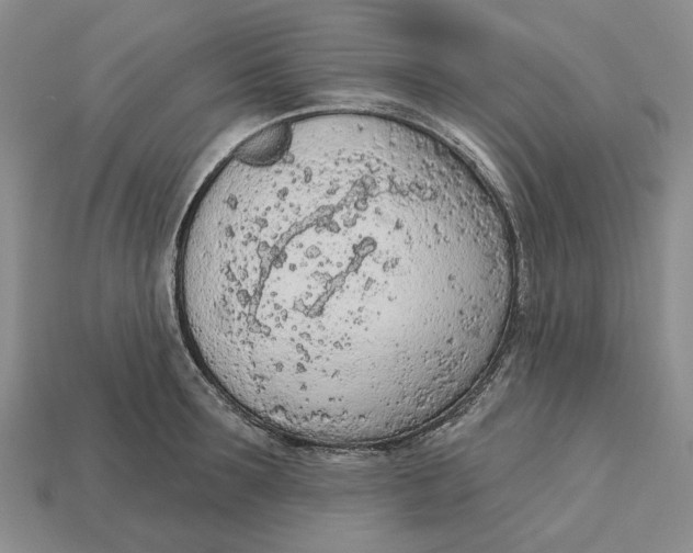 X0000112780899200909101610