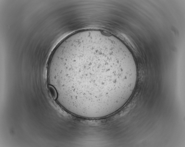 X0000112780900200909101610