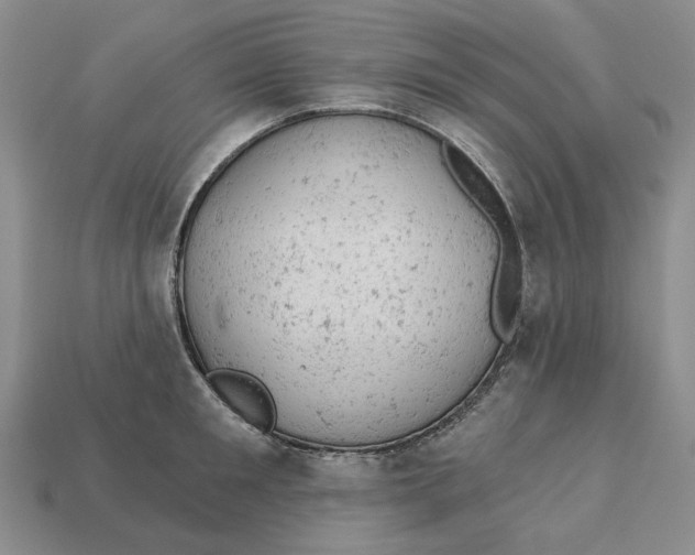 X0000112780901200909101610