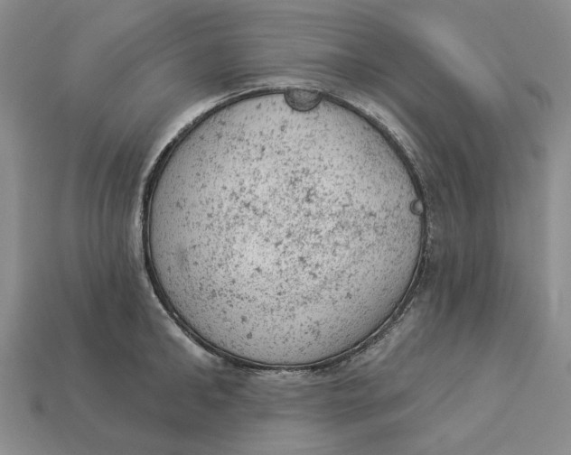 X0000112780902200909101610