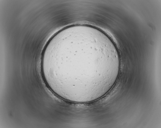 X0000112780903200909101610