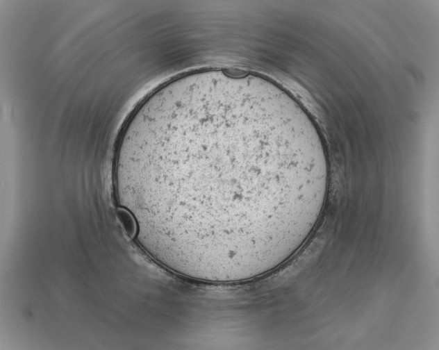 X0000112780904200909101610