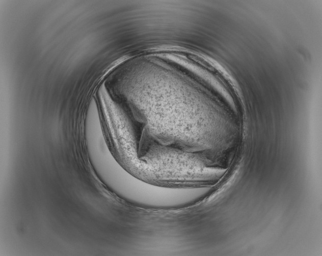 X0000112780905200909101610