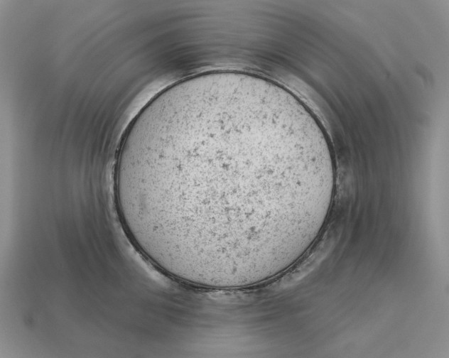 X0000112780906200909101610