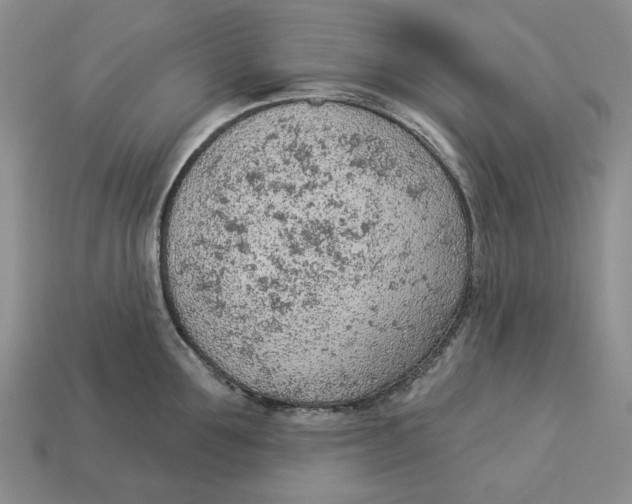 X0000112780907200909101610